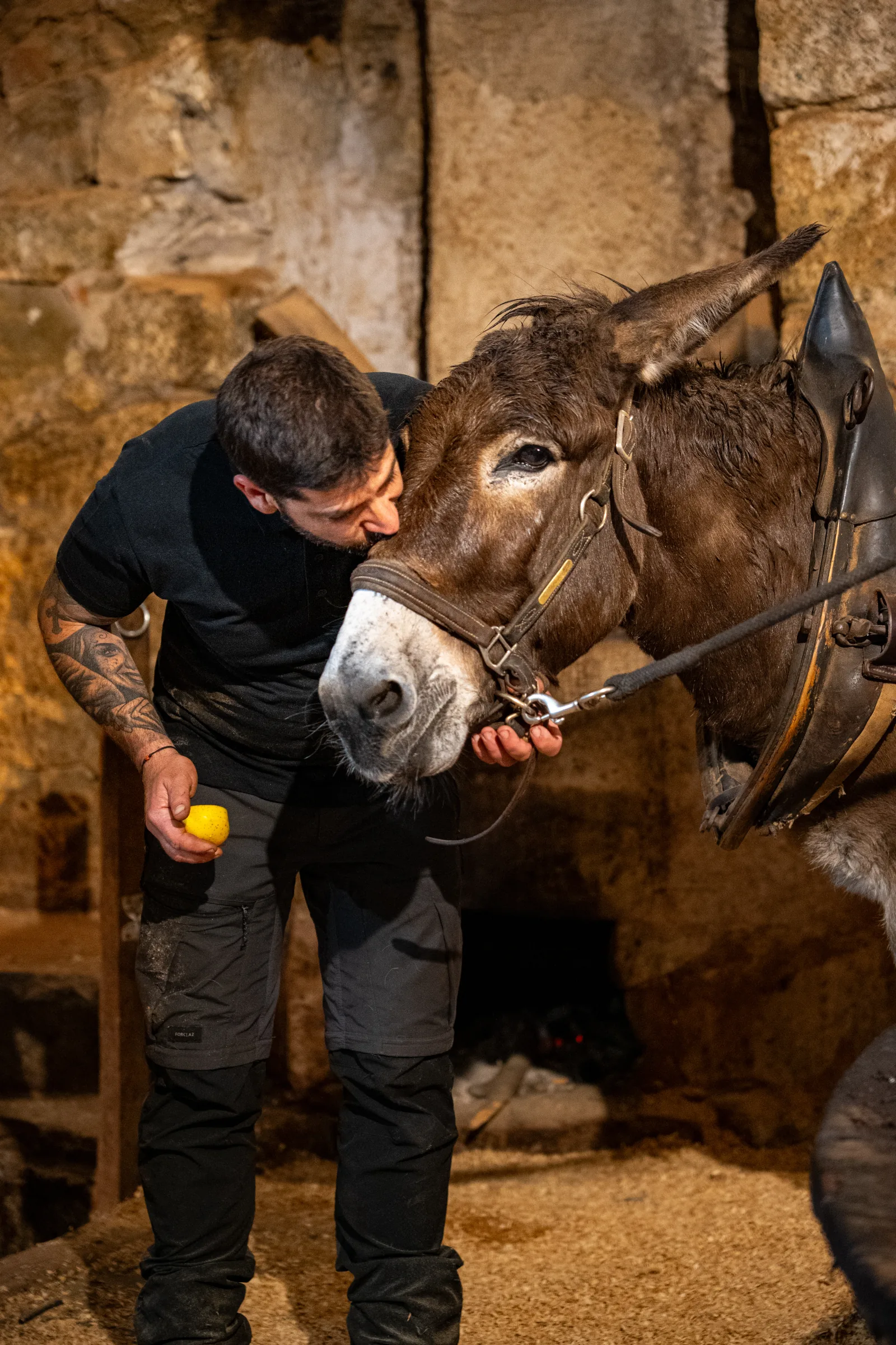 Work Domaine Oliu di u Palazzu